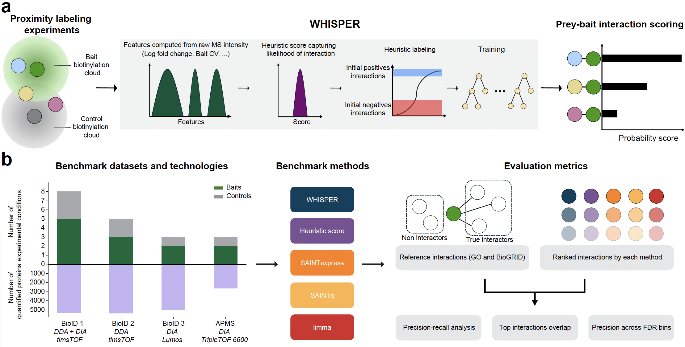 WHISPER Overview